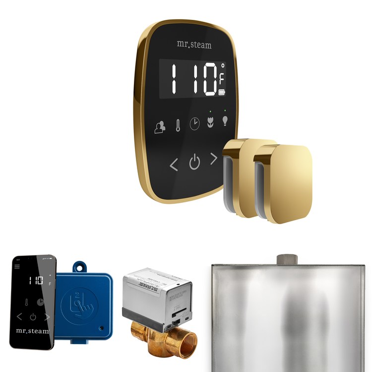 Steam Kit ButlerFlex Max Black/Polished Brass Control Package for MS4/MS5/MX6 - Image 1