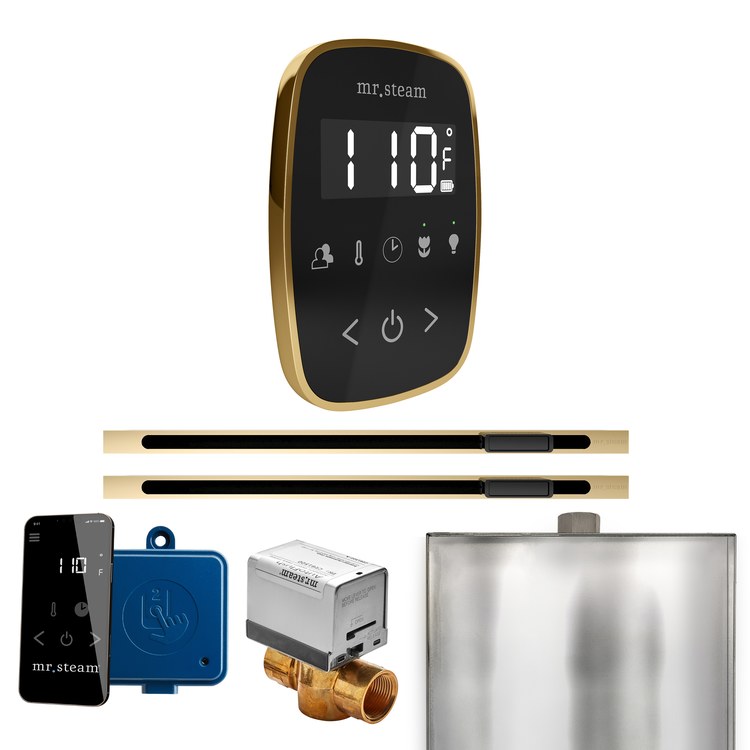 Steam Kit ButlerFlex Max Linear Black/Polished Brass Control Package for MS4/MS5/MX6 - Image 1