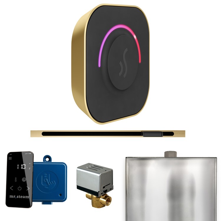Steam Kit ButlerTouch Linear Satin Brass Control Package for MS90 to MSSUPER3 - Image 1