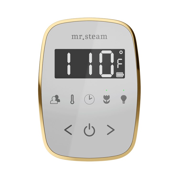 Steam Kit ButlerTouch Polished Brass Control Package for MS90 to MSSUPER3 - Image 2