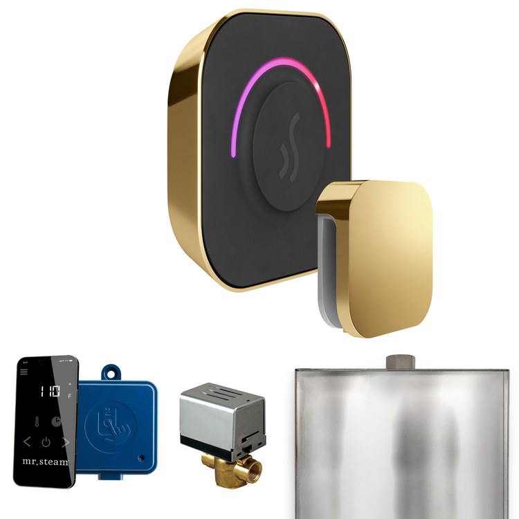 Steam Kit ButlerTouch Polished Brass Control Package for MS90 to MSSUPER3 - Image 1