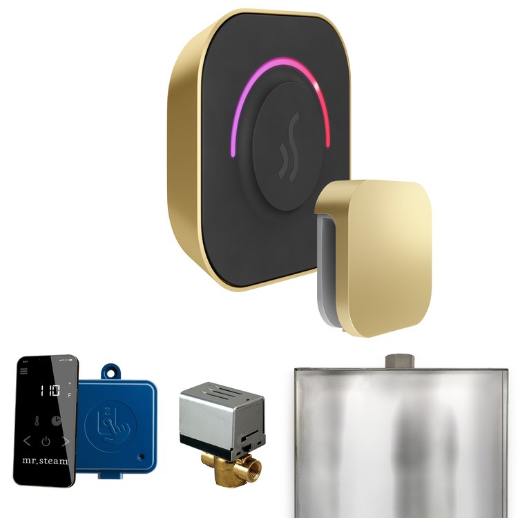 Steam Kit ButlerTouch Satin Brass Control Package for MS90 to MSSUPER3 - Image 1