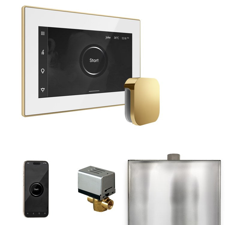 Steam Kit xButler White/Polished Brass Control Package for MS90 to MSSUPER3 - Image 1
