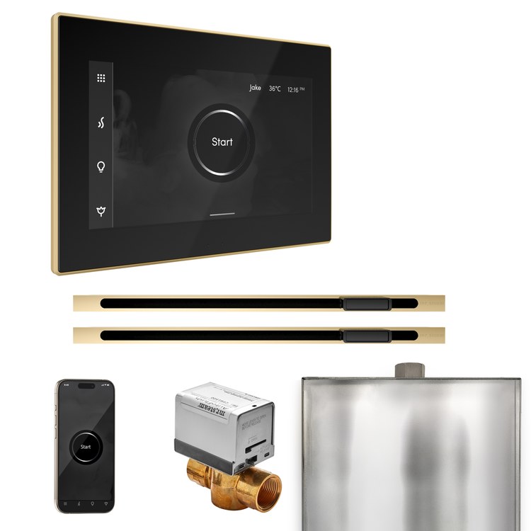 Steam Kit xButler Max Linear Black/Polished Brass Control Package for MS4/MS5/MX6 - Image 1