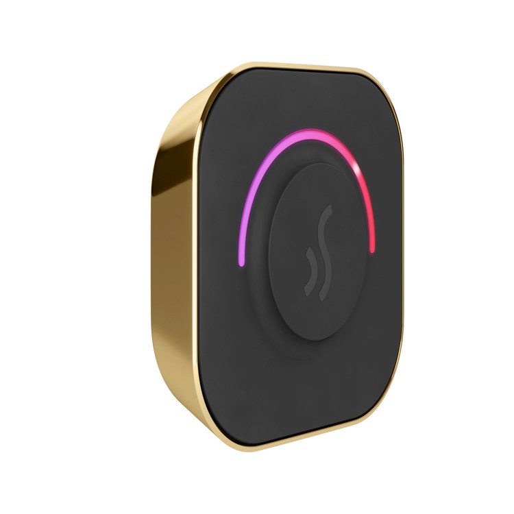 Steam Kit TempoTouch Polished Brass Shower Control with Steamhead for MS90 to MSSUPER3 - Image 2