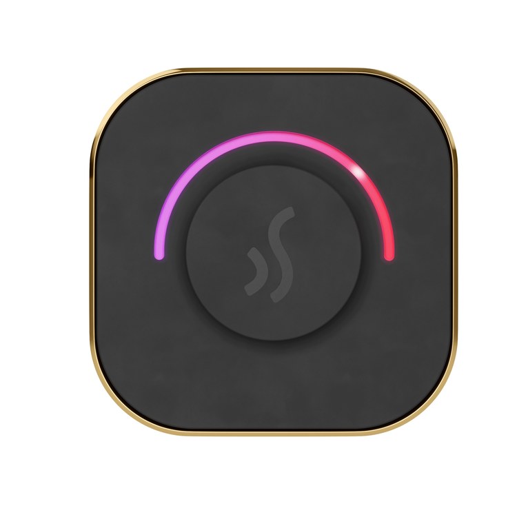 Steam Kit TempoTouch Polished Brass Shower Control with Steamhead for MS90 to MSSUPER3 - Image 1