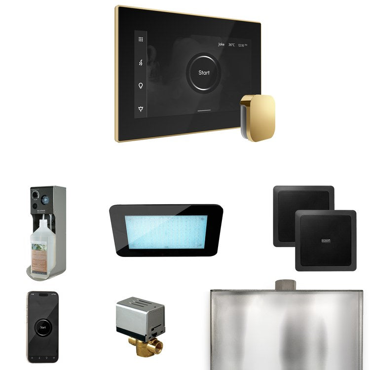 Steam Kit xDream Black/Polished Brass Control Package for MS90 to MSSUPER3 - Image 1