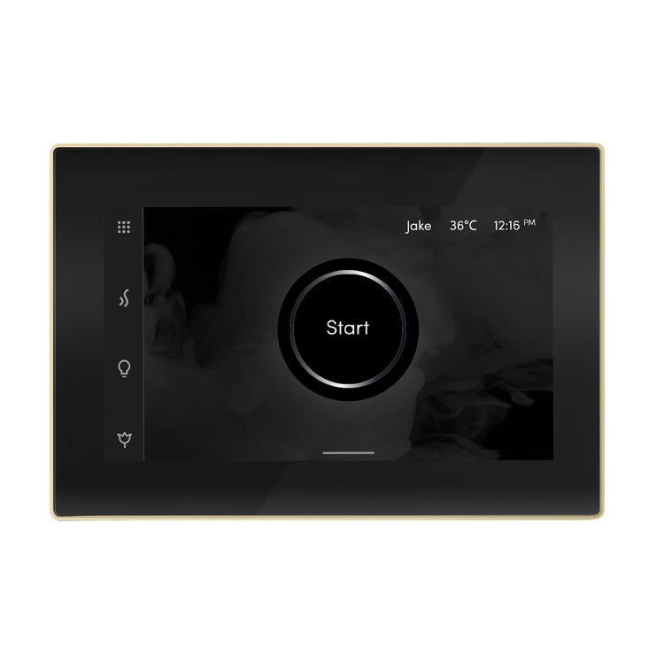 Steam Kit xDream Max Black/Polished Brass Control Package for MX4/MX5/MX6 - Image 3