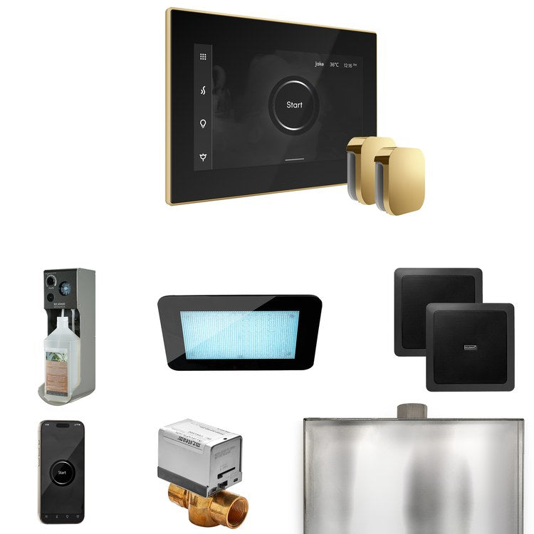 Steam Kit xDream Max Black/Polished Brass Control Package for MX4/MX5/MX6 - Image 1