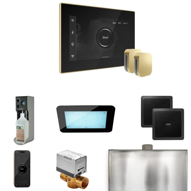 Steam Kit xDream Max Black/Satin Brass Control Package for MX4/MX5/MX6 - Image 1