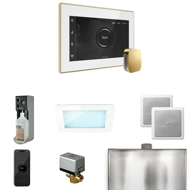 Steam Kit xDream White/Polished Brass Control Package for MS90 to MSSUPER3 - Image 1