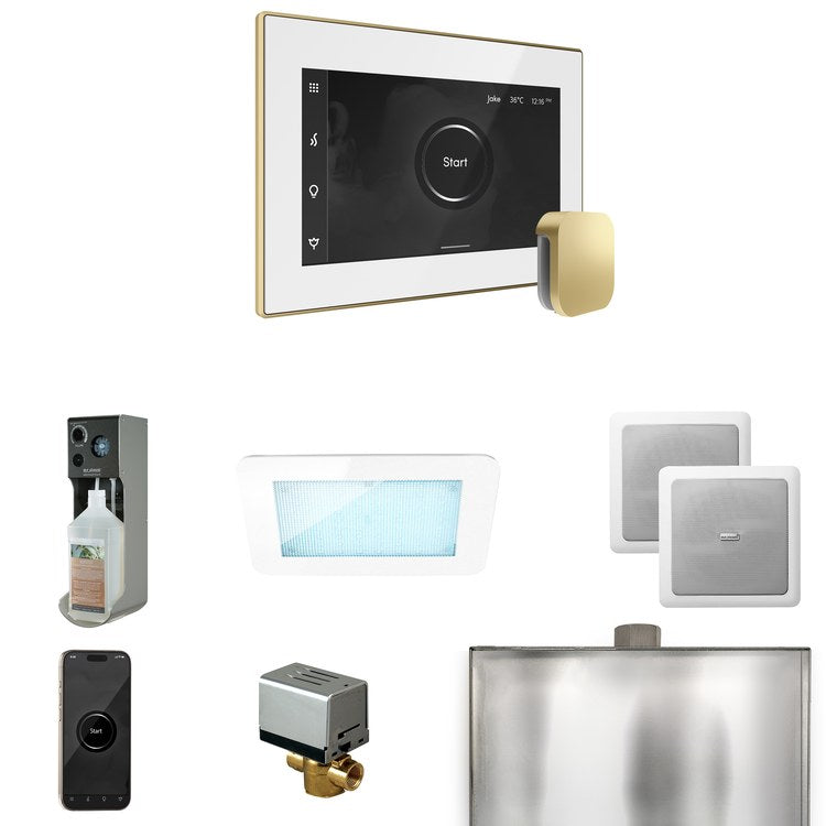 Steam Kit xDream White/Satin Brass Control Package for MS90 to MSSUPER3 - Image 1