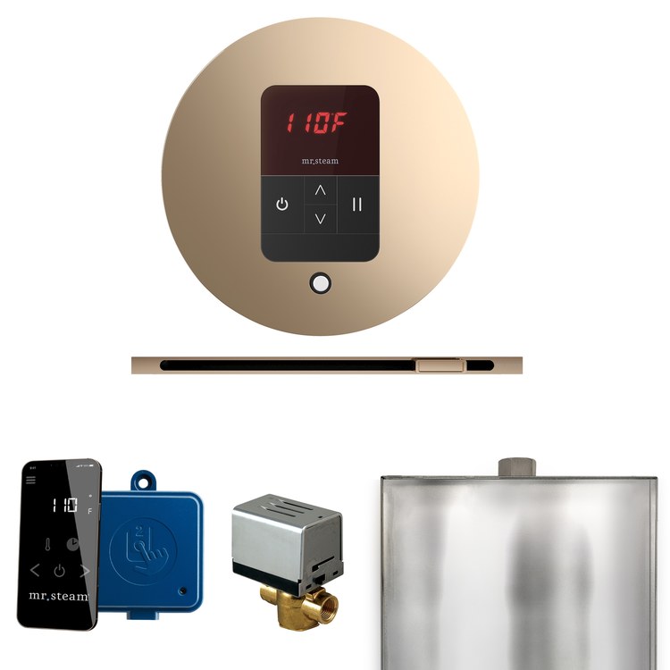 Steam Kit Basic Butler Linear Polished Gold Control Package Linear Round - Image 1