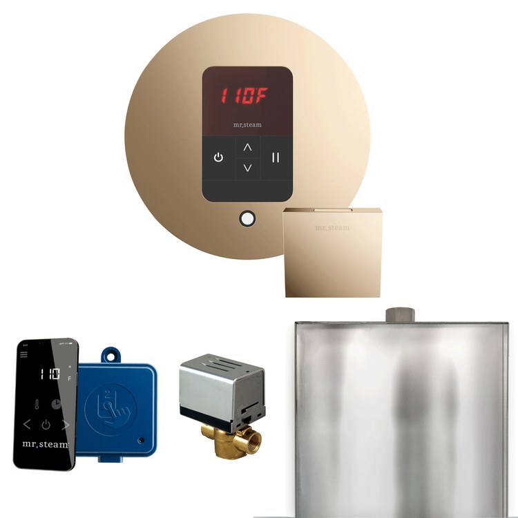 Steam Kit Basic Butler Polished Gold Control Package Round - Image 1
