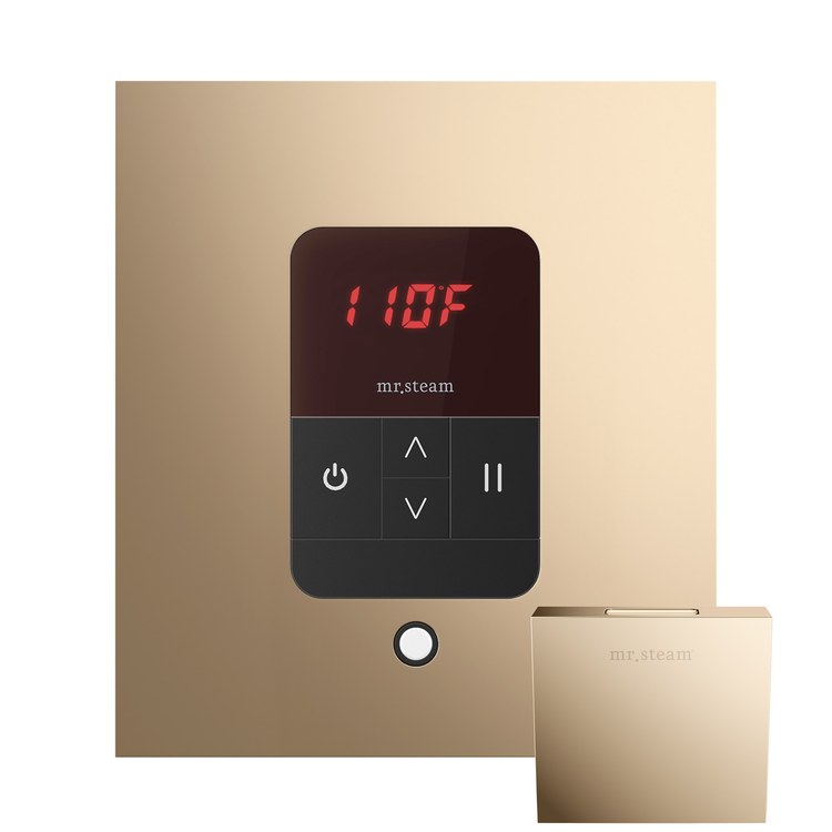 Steam Kit Basic Butler Linear Polished Gold Control Package Linear Square - Image 2
