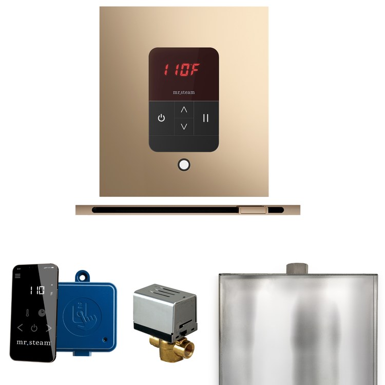 Steam Kit Basic Butler Linear Polished Gold Control Package Linear Square