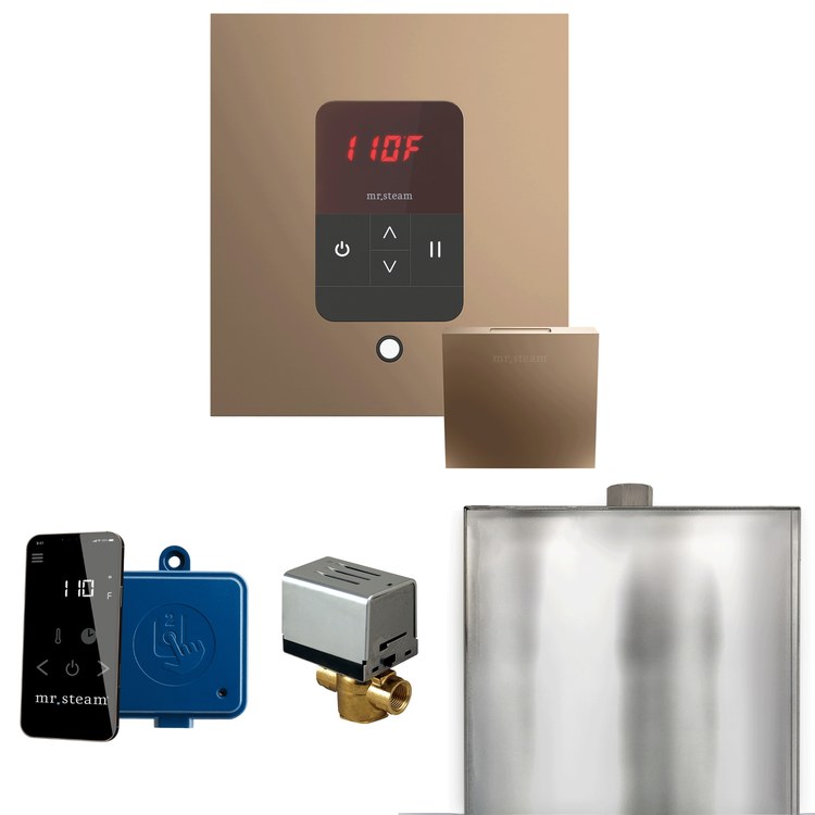 Steam Kit Basic Butler Nouveau Bronze Control Package Square - Image 1
