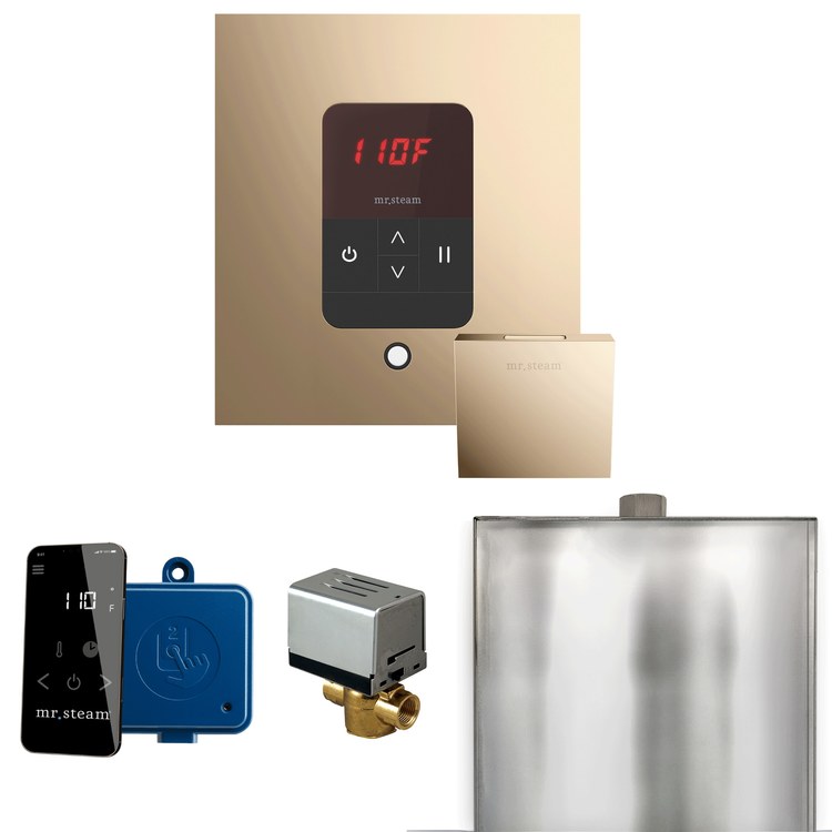 Steam Kit Basic Butler Polished Gold Control Package Square - Image 1