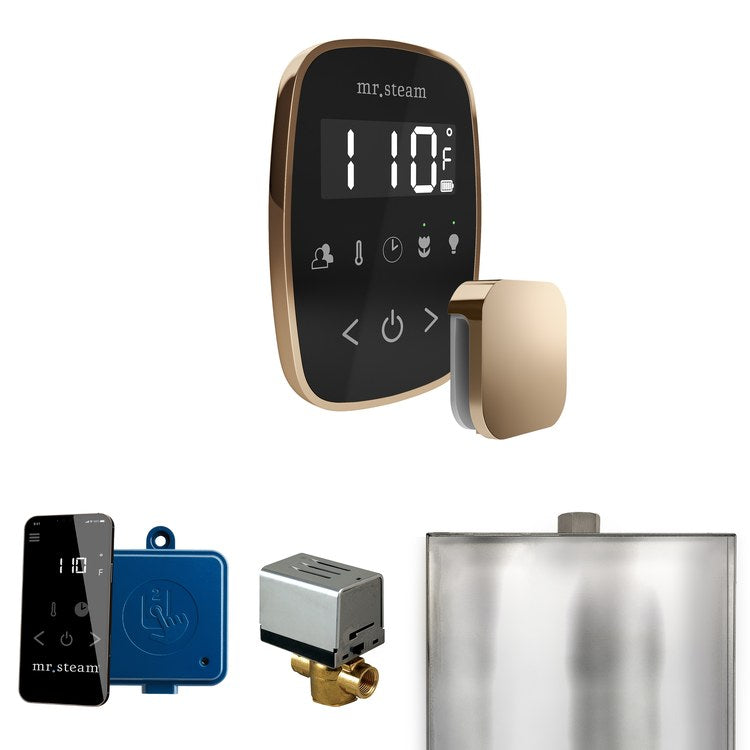 Steam Kit ButlerFlex Black/Polished Gold Control Package for MS90 to MSSUPER3 - Image 1