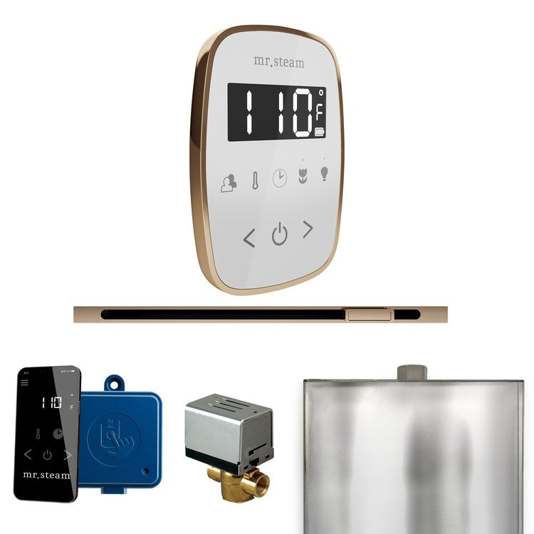 Steam Kit ButlerFlex Linear White/Polished Gold Control Package for MS90 to MSSUPER3 - Image 1
