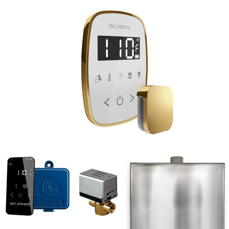Steam Kit ButlerFlex White/Polished Brass Control Package for MS90 to MSSUPER3 - Image 1
