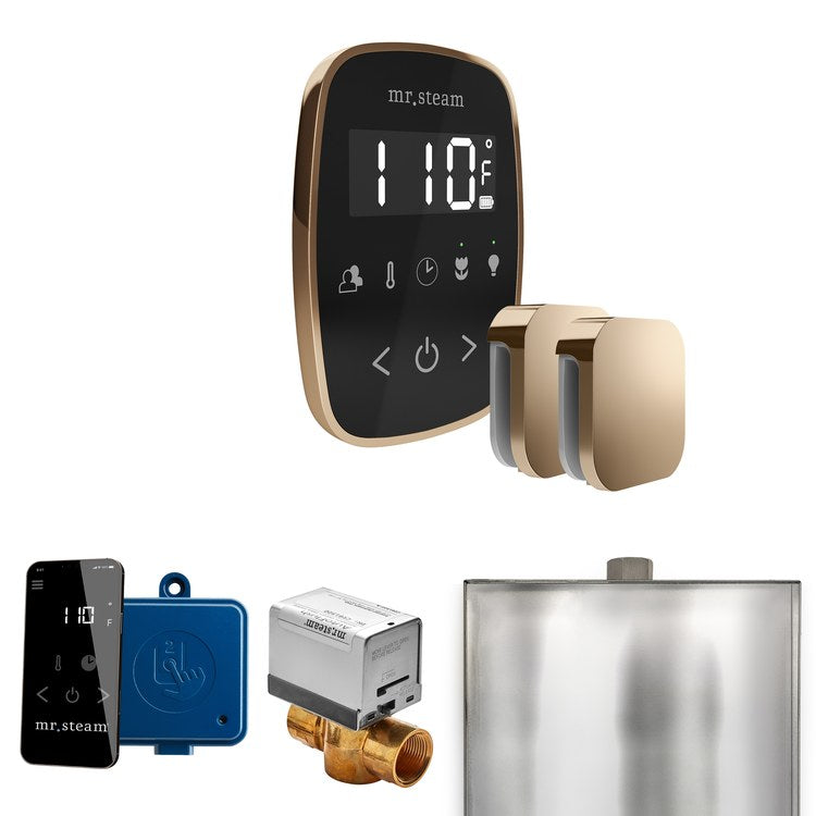 Steam Kit ButlerFlex Max Black/Polished Gold Control Package for MS4/MS5/MX6 - Image 1