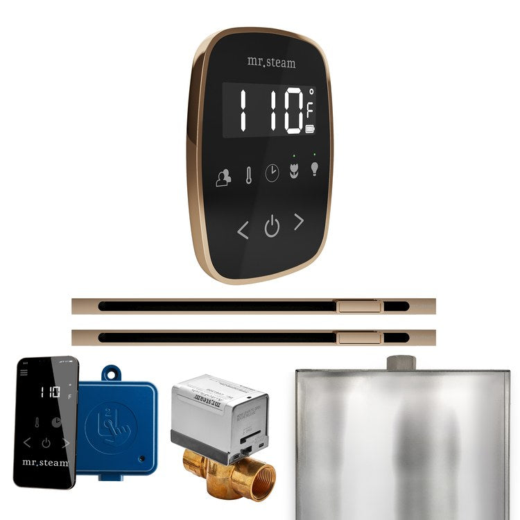 Steam Kit ButlerFlex Max Linear Black/Polished Gold Control Package for MS4/MS5/MX6 - Image 1