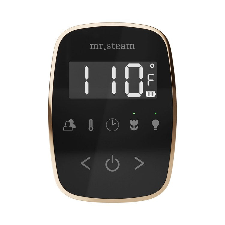 Steam Kit ButlerTouch Linear Polished Gold Control Package for MS90 to MSSUPER3 - Image 2