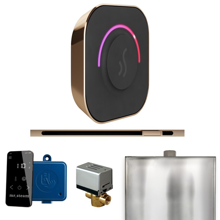 Steam Kit ButlerTouch Linear Polished Gold Control Package for MS90 to MSSUPER3 - Image 1