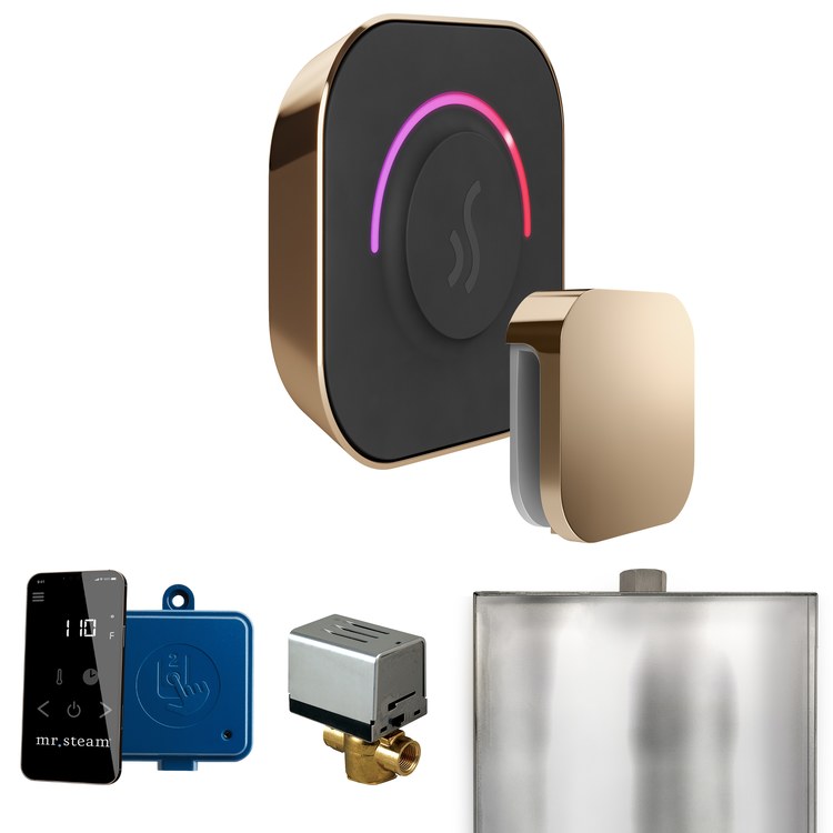 Steam Kit ButlerTouch Polished Gold Control Package for MS90 to MSSUPER3 - Image 1