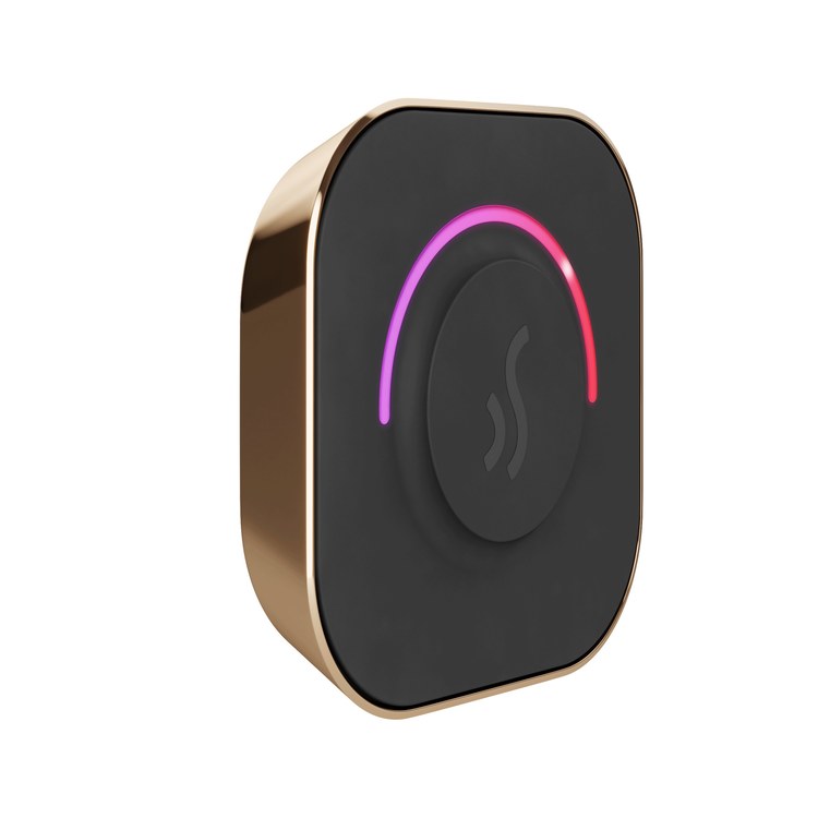Steam Kit TempoTouch Polished Gold Shower Control with Steamhead for MS90 to MSSUPER3 - Image 2