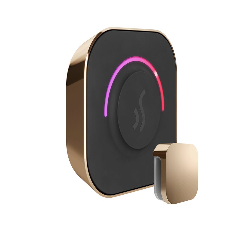Steam Kit TempoTouch Polished Gold Shower Control with Steamhead for MS90 to MSSUPER3 - Image 3