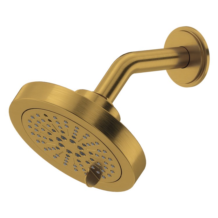 Showerhead 6 Functions with Arm Brushed Gold 5 Inch 2 Gallons per Minute Swivel Round - Image 1