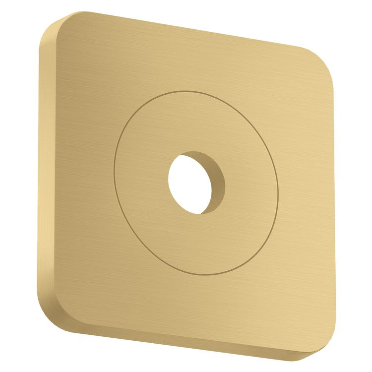Wall Plate Citterio C Brushed Gold Optic 5 Inch Metal 4-3/4 Inch