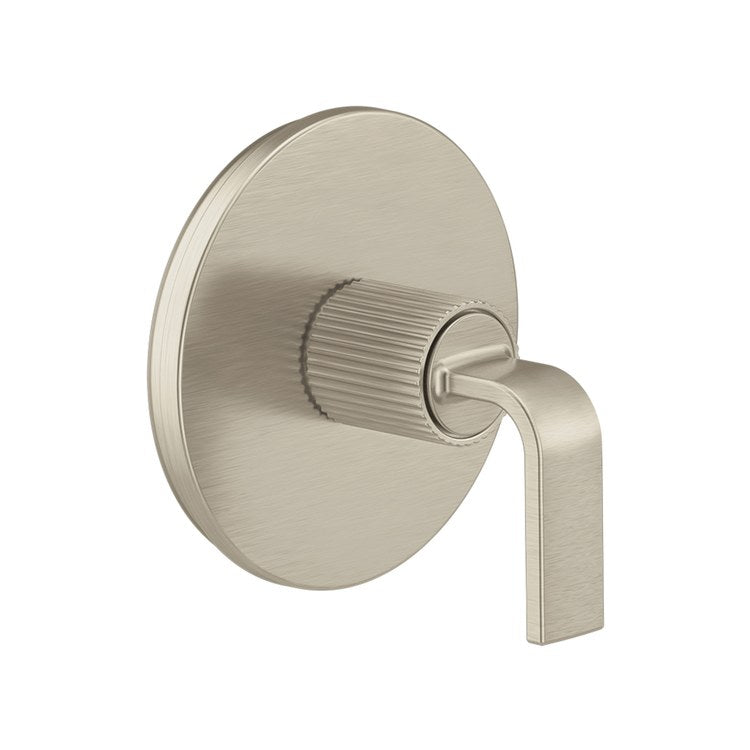 Transfer Valve Trim Cambium M-Core 3 1 Lever Brushed Nickel ADA - Image 1