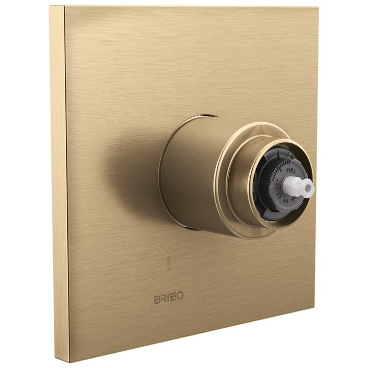 Pressure Balance Valve Trim Frank Lloyd Wright Less Handle Luxe Gold 6-1/2 Inch - Image 1