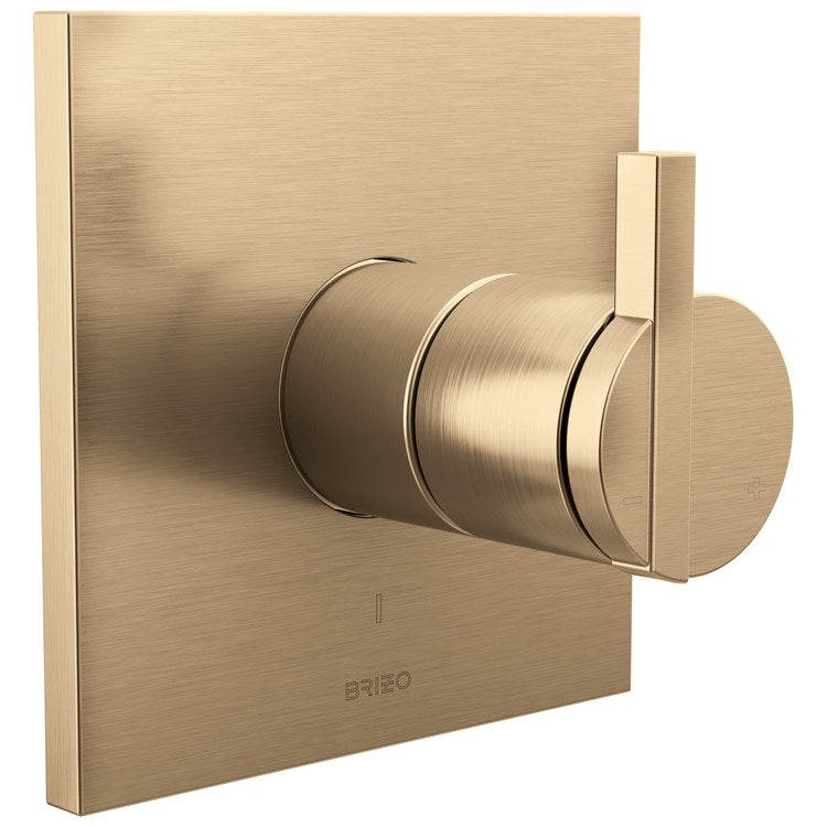 Handle Kit Frank Lloyd Wright Zinc 1 Lunar Luxe Gold ADA for Pressure Balance Valve - Image 2
