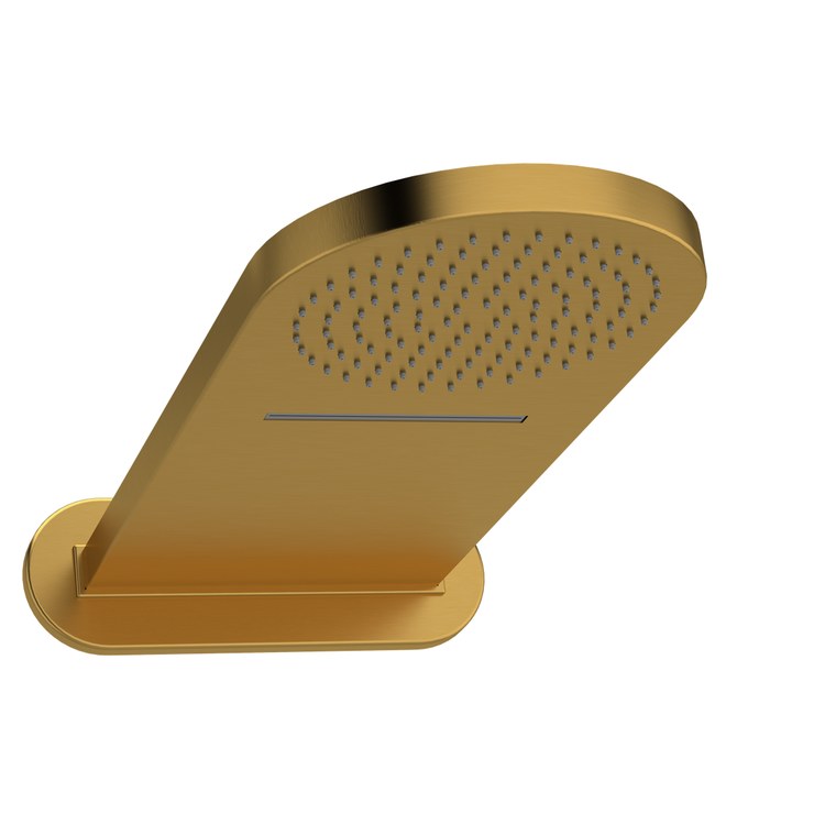 Showerhead 2 Functions with Flange Brushed Gold 22x9 Inch 2.5 Gallons per Minute Wall - Image 1