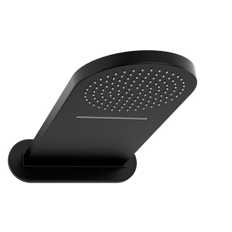 Showerhead 2 Functions with Flange Black 22x9 Inch 2.5 Gallons per Minute Wall - Image 1
