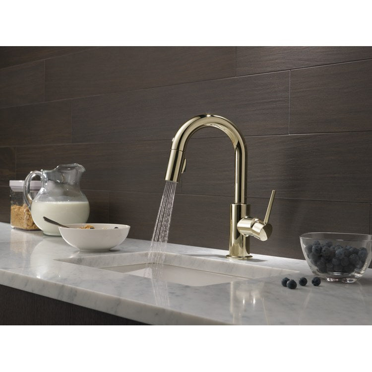 Prep Faucet Trinsic 1 Lever ADA Brilliance Polished Nickel Pull Down 2 Function 1.8 Gallons per Minute - Image 3