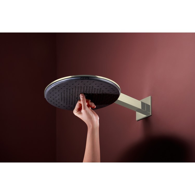 Showerhead Raindance Alive S 300 2 Functions Brushed Nickel 11-7/8 Inch 1.75 Gallons per Minute Round Wall/Ceiling - Image 2