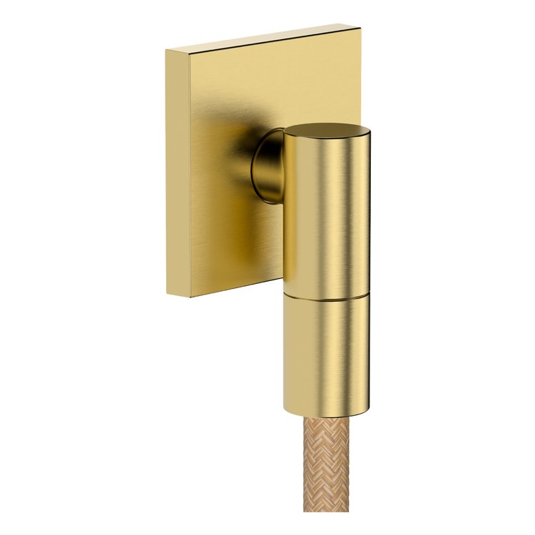 Wall Outlet with Flange and Check Valves Brushed Gold Optic cUPC - Image 1