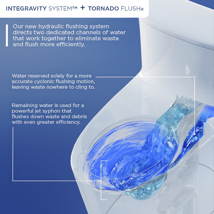 Toilet Aurora 1 Piece Skirted Universal Height Cotton Elongated WaterSense ADA 1.0 Gallons per Flush Inegravity Right Trip Lever SoftClose - Image 2