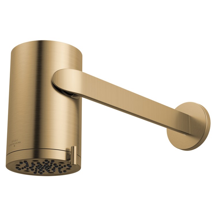 Showerhead Roccesco 3 Functions Sconce with Shower Arm and Flange Luxe Gold 4-3/4 Inch 1.75 Gallons per Minute Wall