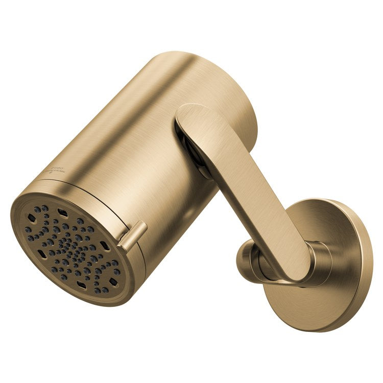 Showerhead Roccesco 3 Functions Sconce with Jointed Shower Arm and Flange Luxe Gold 4-3/4 Inch 1.75 Gallons per Minute Wall - Image 1
