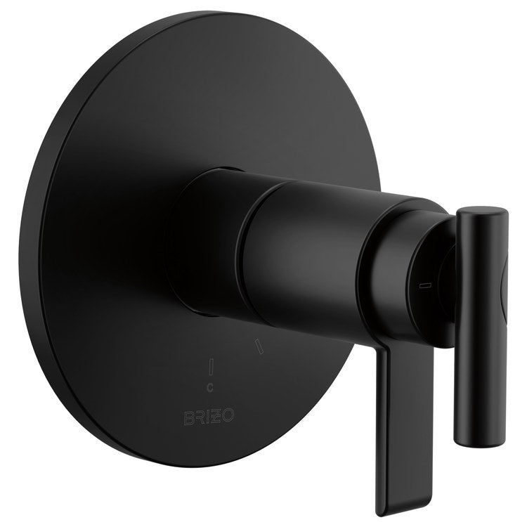 Handle Kit Roccesco TempAssure 2 Lever Matte Black ADA for T600110 - Image 2