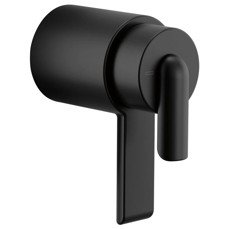 Handle Kit Roccesco TempAssure 2 Bent Lever Matte Black ADA for T600110