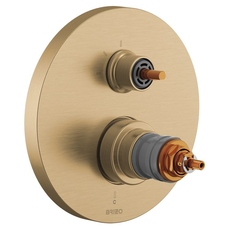 Thermostatic Valve Trim Roccesco TempAssure Less Handle Luxe Gold - Image 1