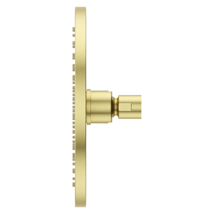 Showerhead 1 Functions Modern Raincan Brushed Gold 7-7/8 Inch 1.75 Gallons per Minute Round for 1/2 IN Shower Arm - Image 3