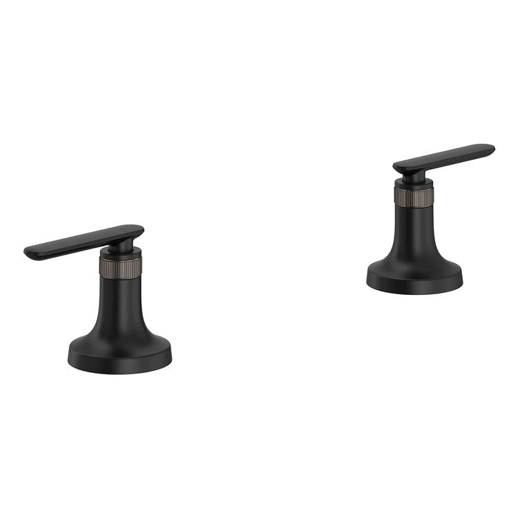 Handle Kit Listra Metal 2 Lever Matte Black ADA for Listra Deck Mount Tub Filler